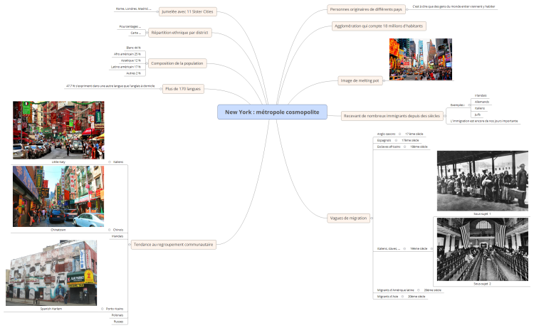 NY cosmopolite mind mapping suite